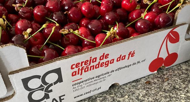 Mercado da Cereja e produtos locais em Alfândega da Fé Mercado da Cereja e produtos locais em Alfândega da Fé